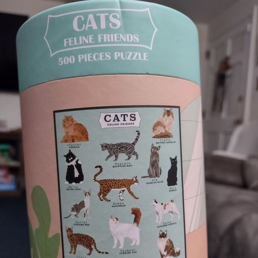 2021 Modern Expressions Cats Feline Friends 500 Pieces Puzzle 19.7" x 13.8" Ages